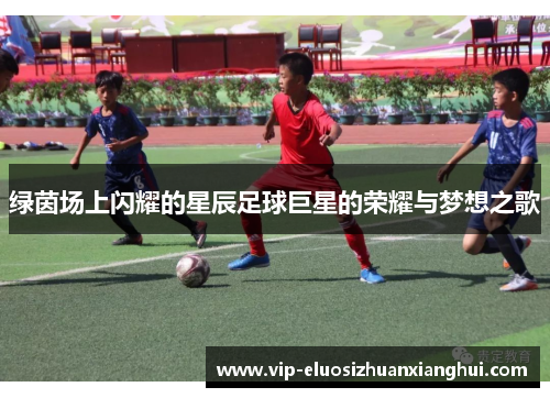绿茵场上闪耀的星辰足球巨星的荣耀与梦想之歌